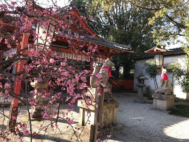 Genkuroinari Shrine景点图片