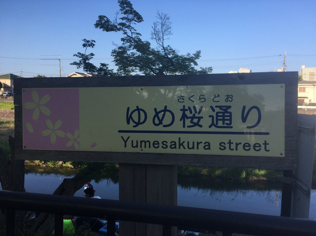 Akutagawasakurazutsumi Park-高规市必去景点