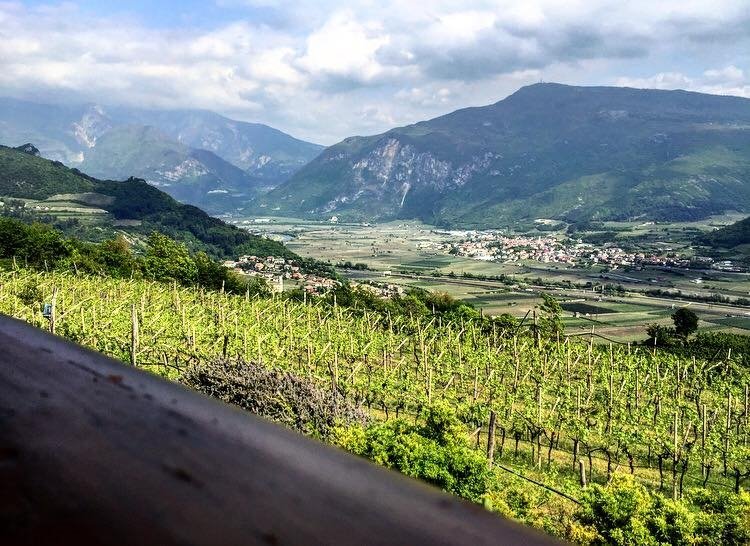 Agritur Le Pergole-酒店景观