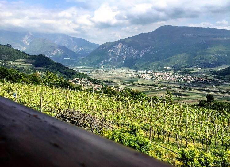 Agritur Le Pergole主图