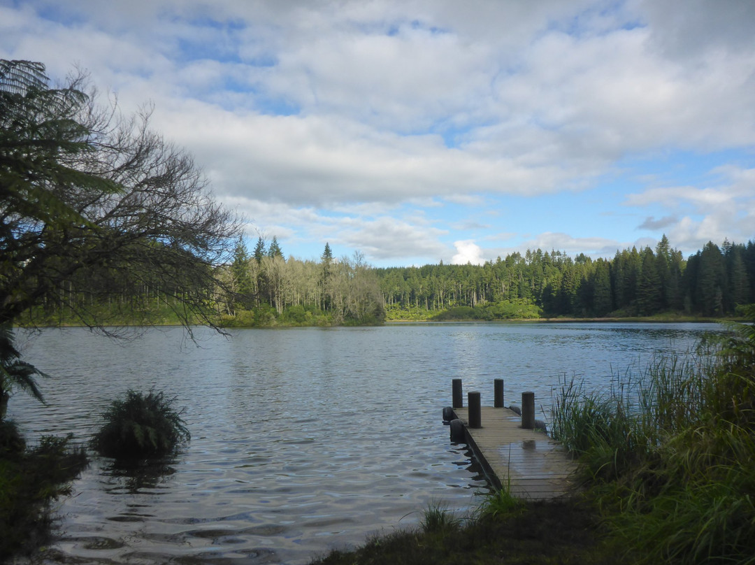 Lake Rotokakahi景点图片