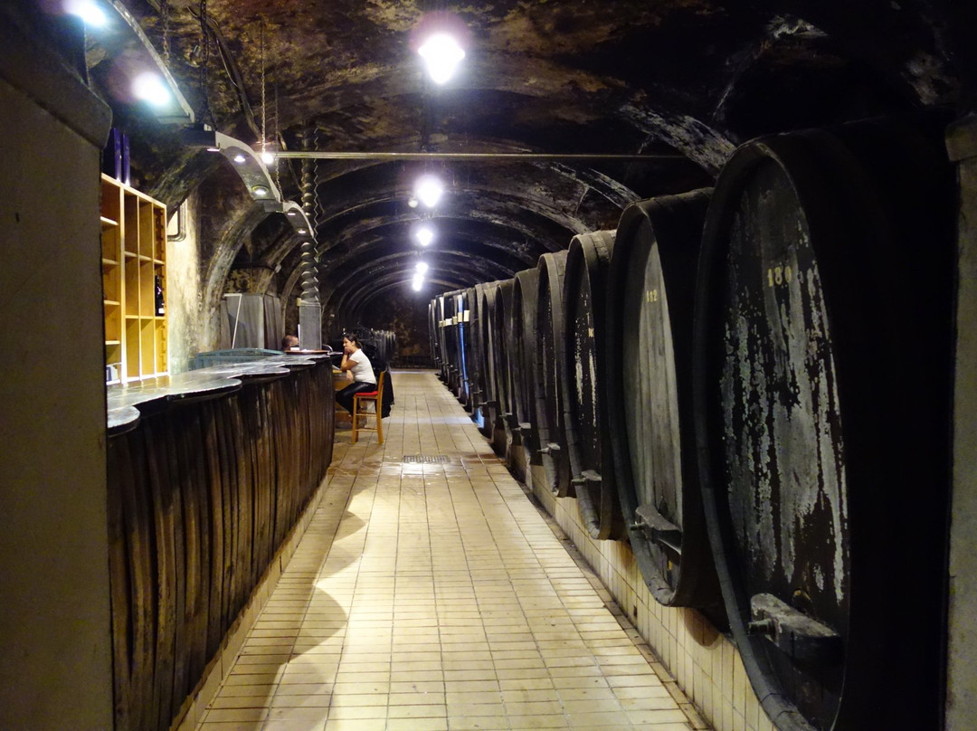 Vinag Wine Cellar