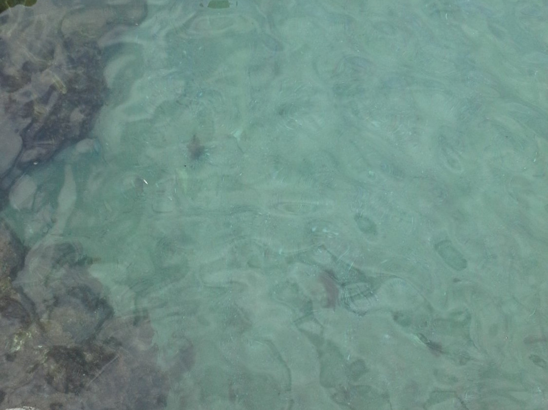 Charrana Beach-Nador必去景点