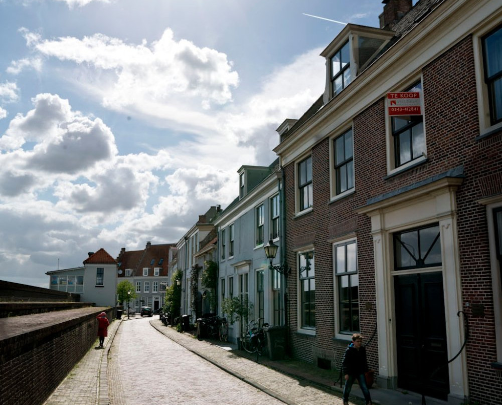 Rijn en Lek Windmill景点图片