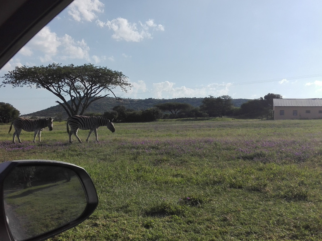 Trenchgula Game Reserve