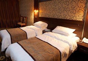 Karlovy Vary Hotel-酒店景观