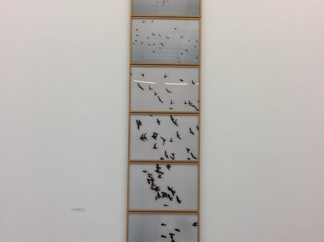 Galeria Lucia de la Puente-利马必去景点