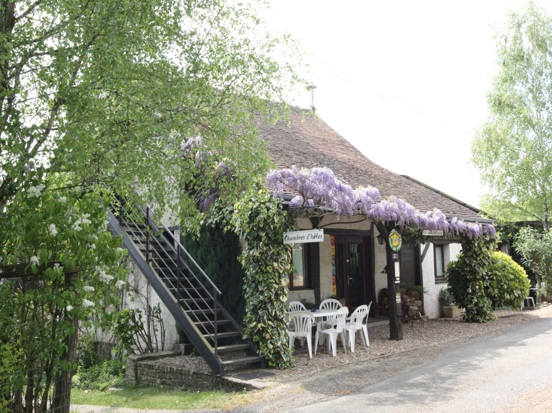 Monthodon旅游攻略图片