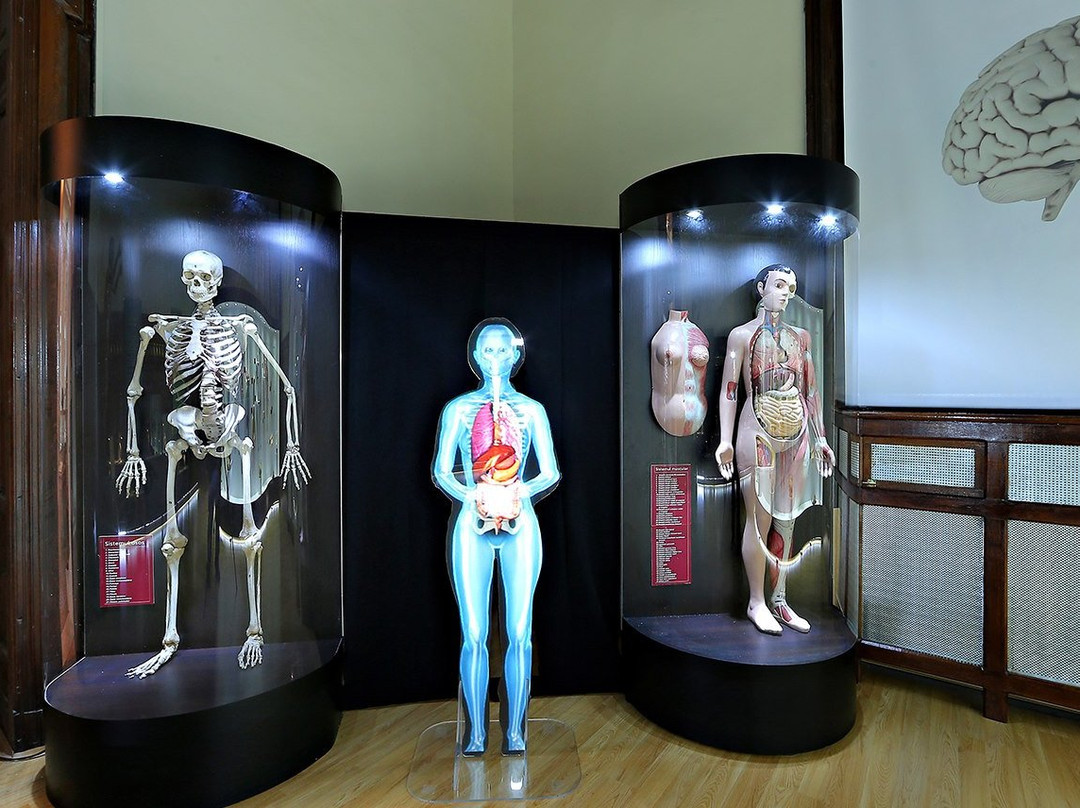 Muzeul judetean de stiintele naturii prahova景点图片