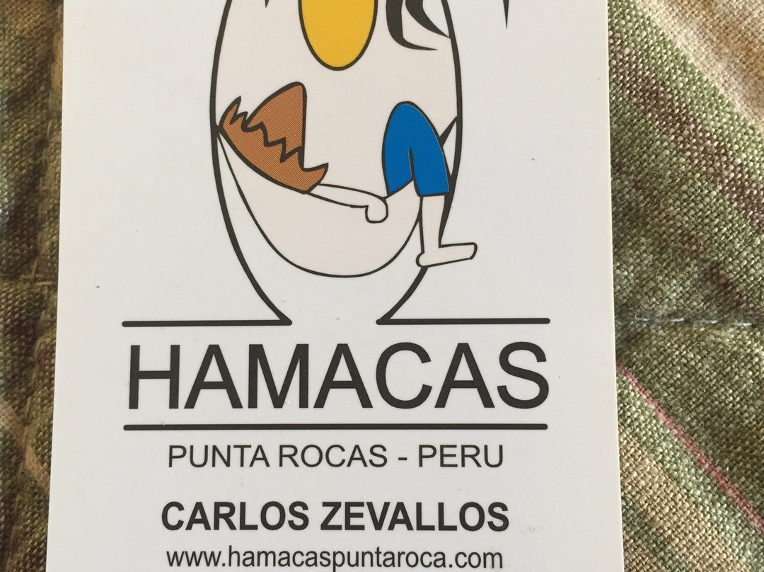 Hamacas Hotel主图