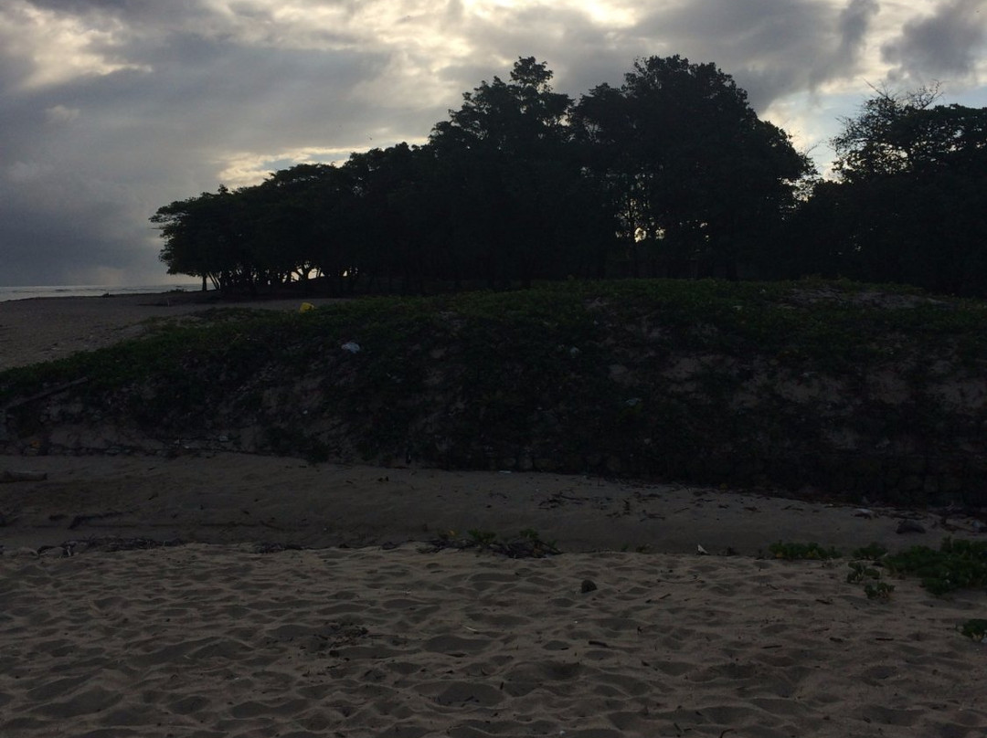 Long Beach-普拉塔港必去景点