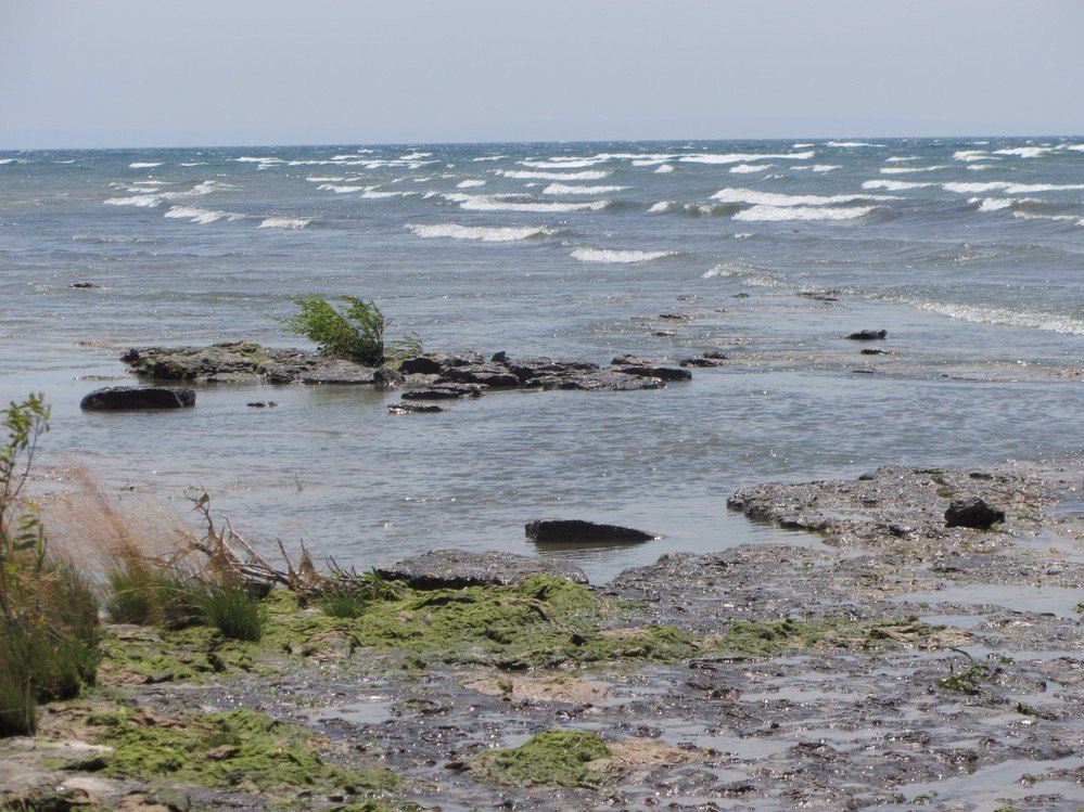 Morgan's Point Conservation Area-Wainfleet必去景点