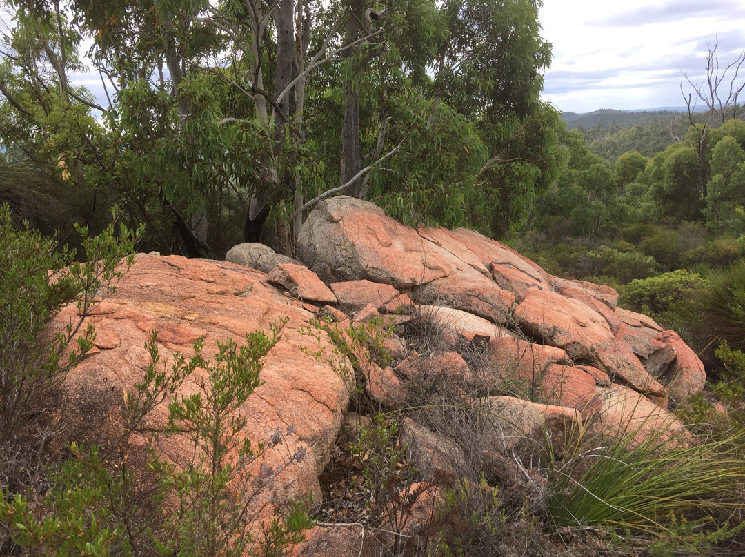 Mount Cooke-Darling Downs必去景点