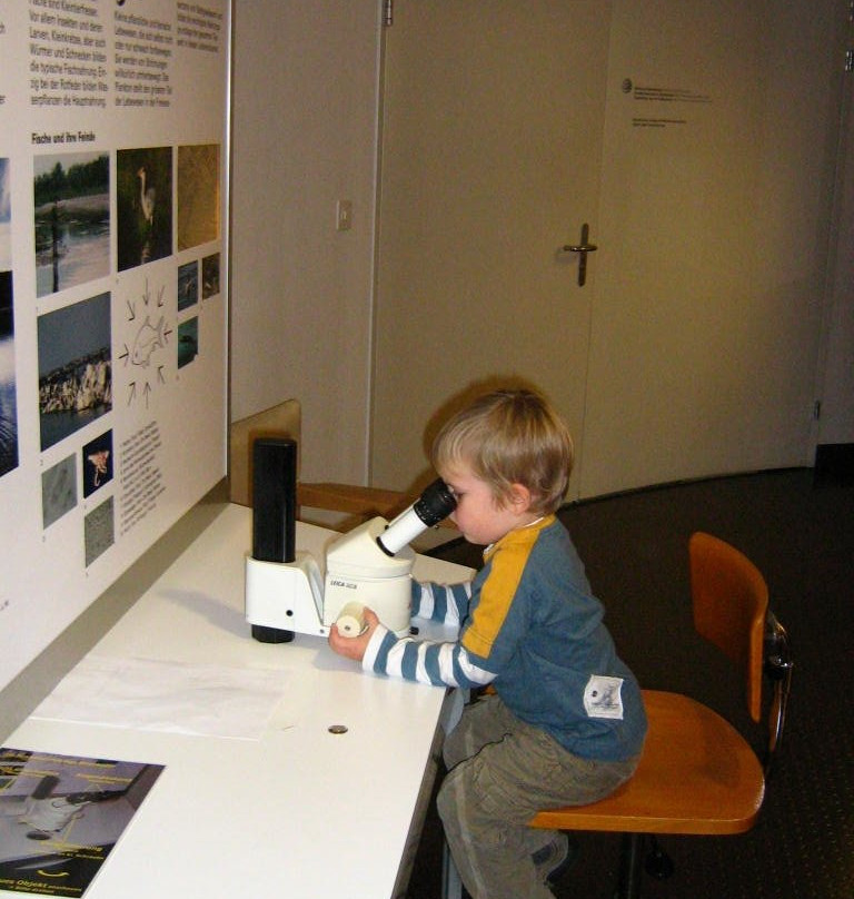 Bündner Naturmuseum-库尔必去景点