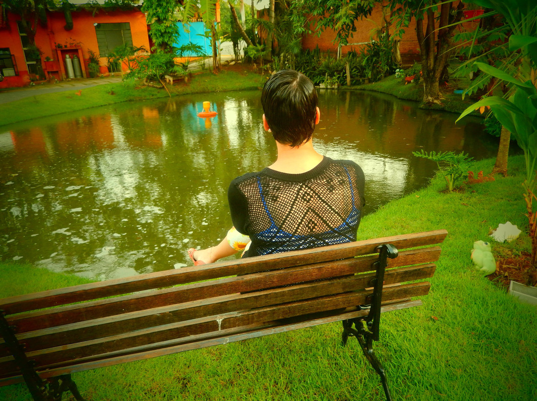 Pousada Circuito Das Aguas主图