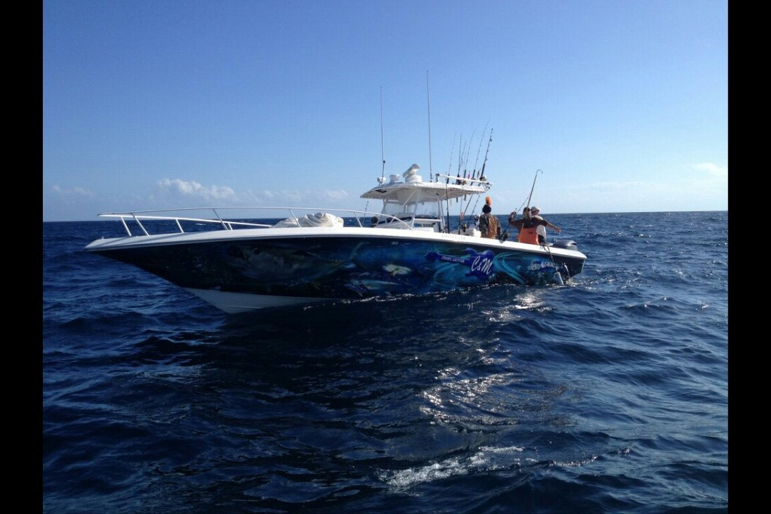 Captain Cook Charters-Venice必去景点