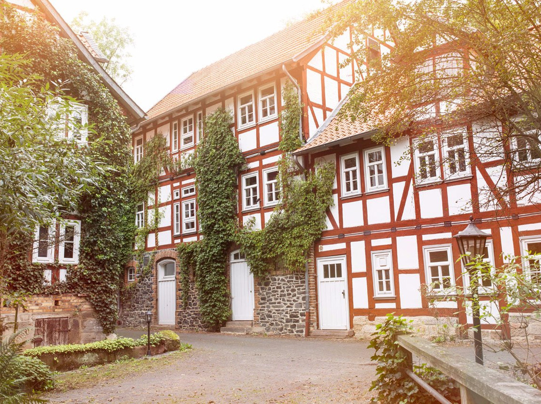 Hohlebach Mühle主图