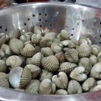 Curug Sangereng餐馆和美食-Kerang Kiloan Pelaut