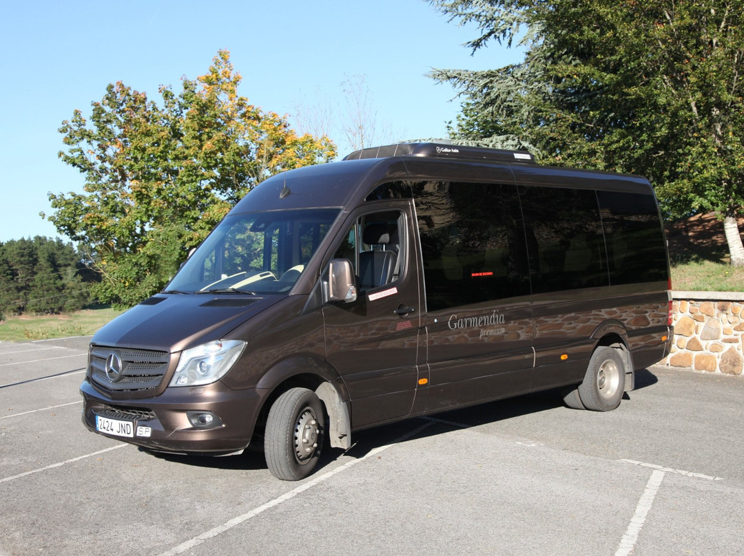 Servicios Turisticos Integrales - Day Tours景点图片