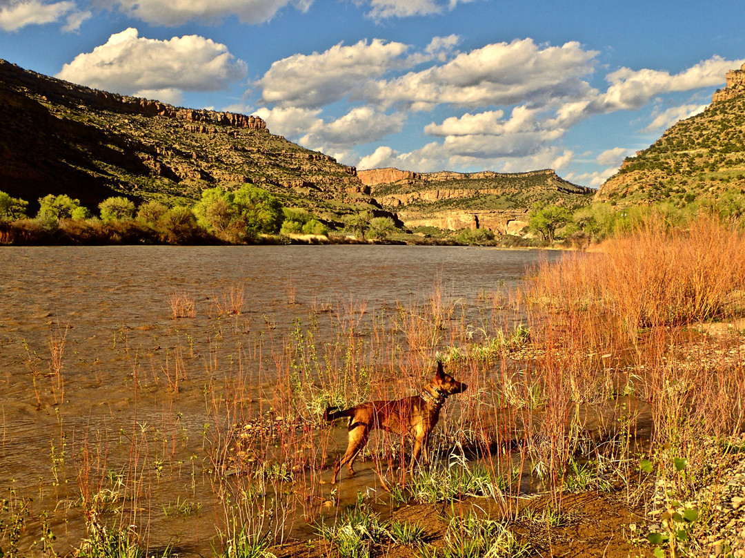 James M. Robb - Colorado River State Park景点图片