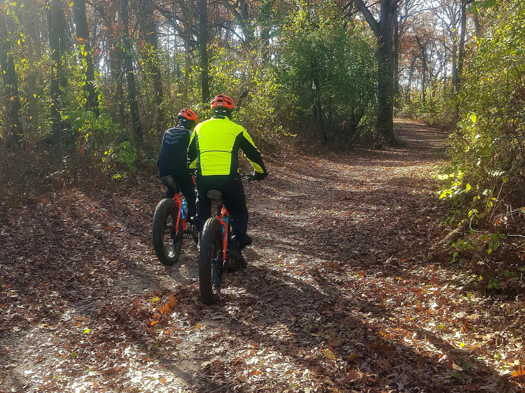 Up North Guided Tours-诺斯布鲁克必去景点