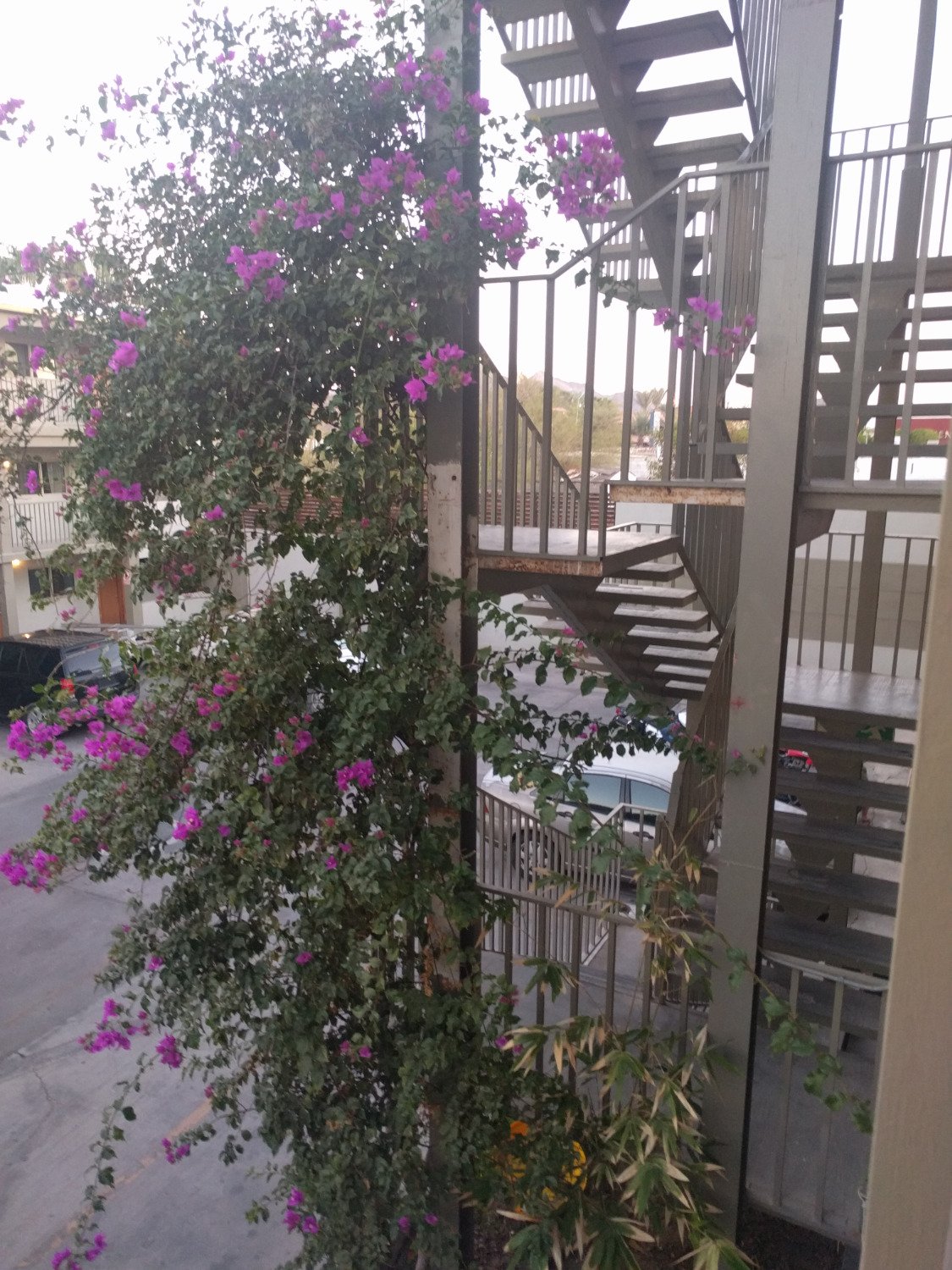 Hotel chapala-浴室