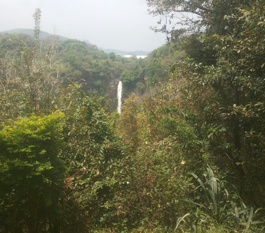 Baung Waterfall景点图片