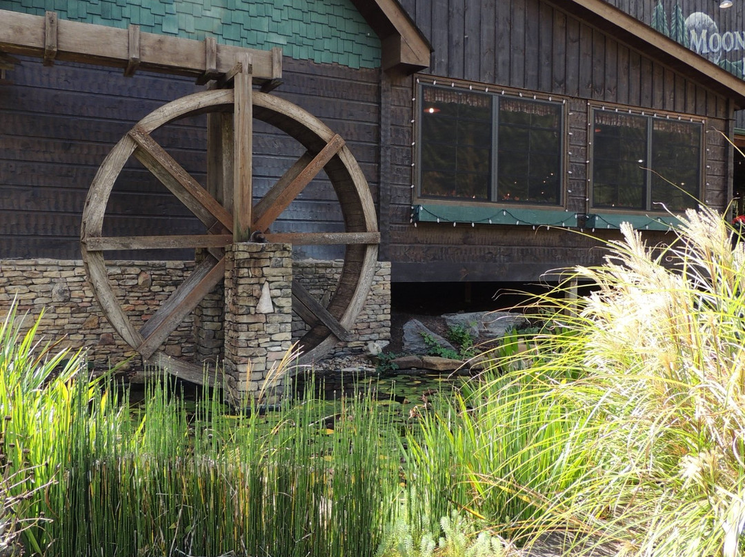 Moonshine Ridge Country Store & Cafe-塞维尔维尔必去景点