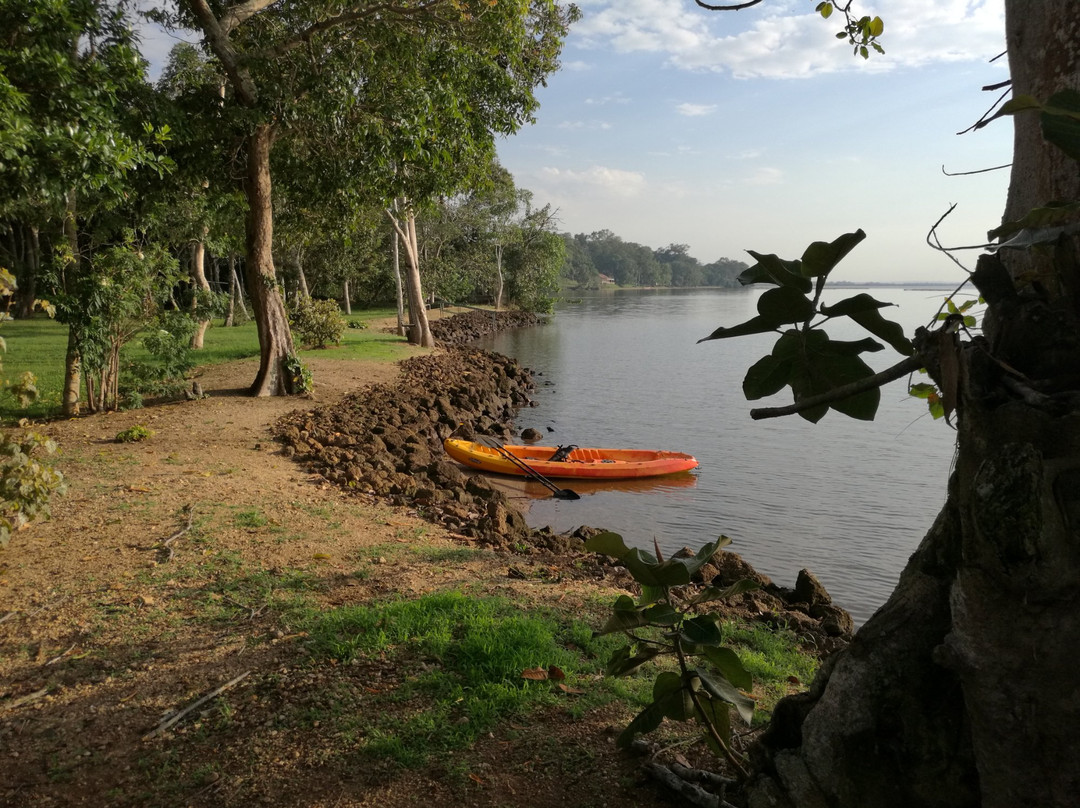 Orchids Village主图