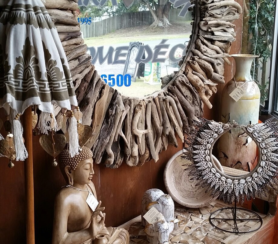 Iguana Beachwear Gifts & Home Decor景点图片