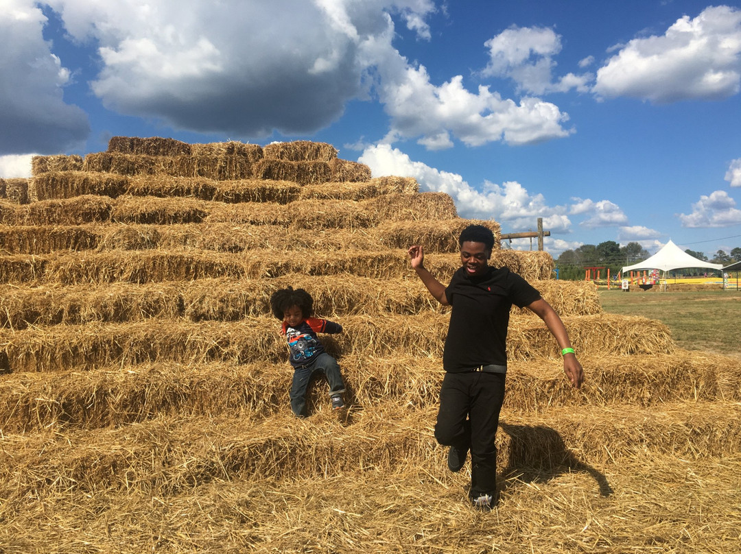 Corn Dawgs Corn Maze-Loganville必去景点