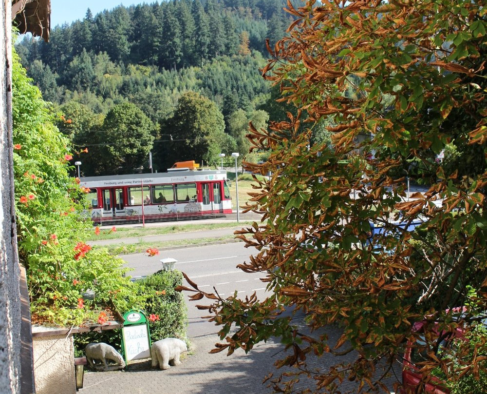 Hotel Waldheim主图