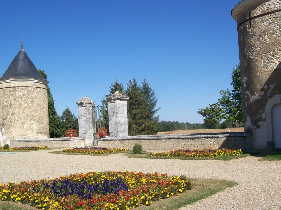 Chateau de la Bonnetiere景点图片