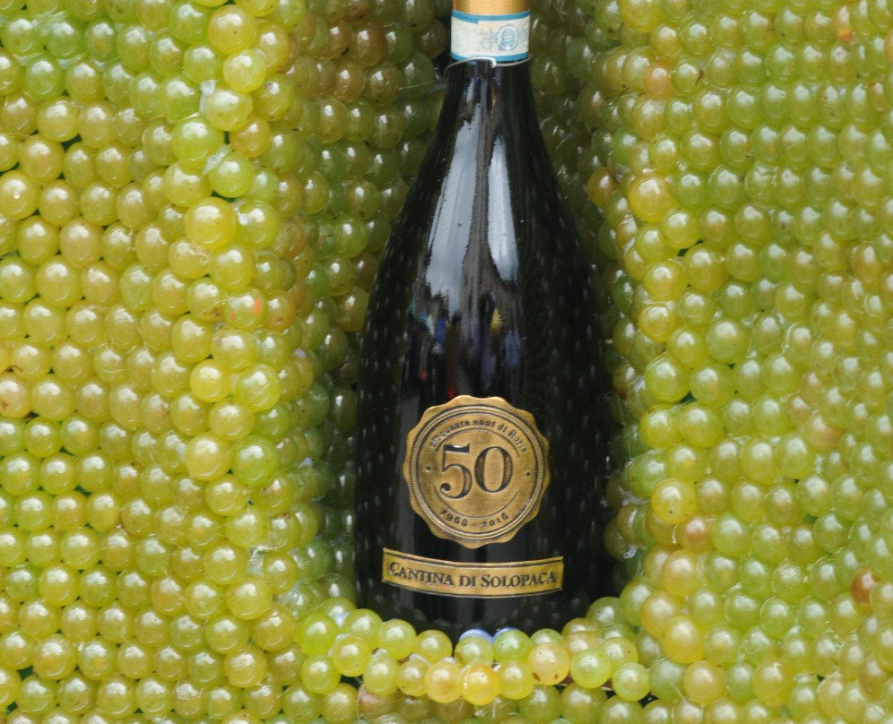 Cantina di Solopaca景点图片