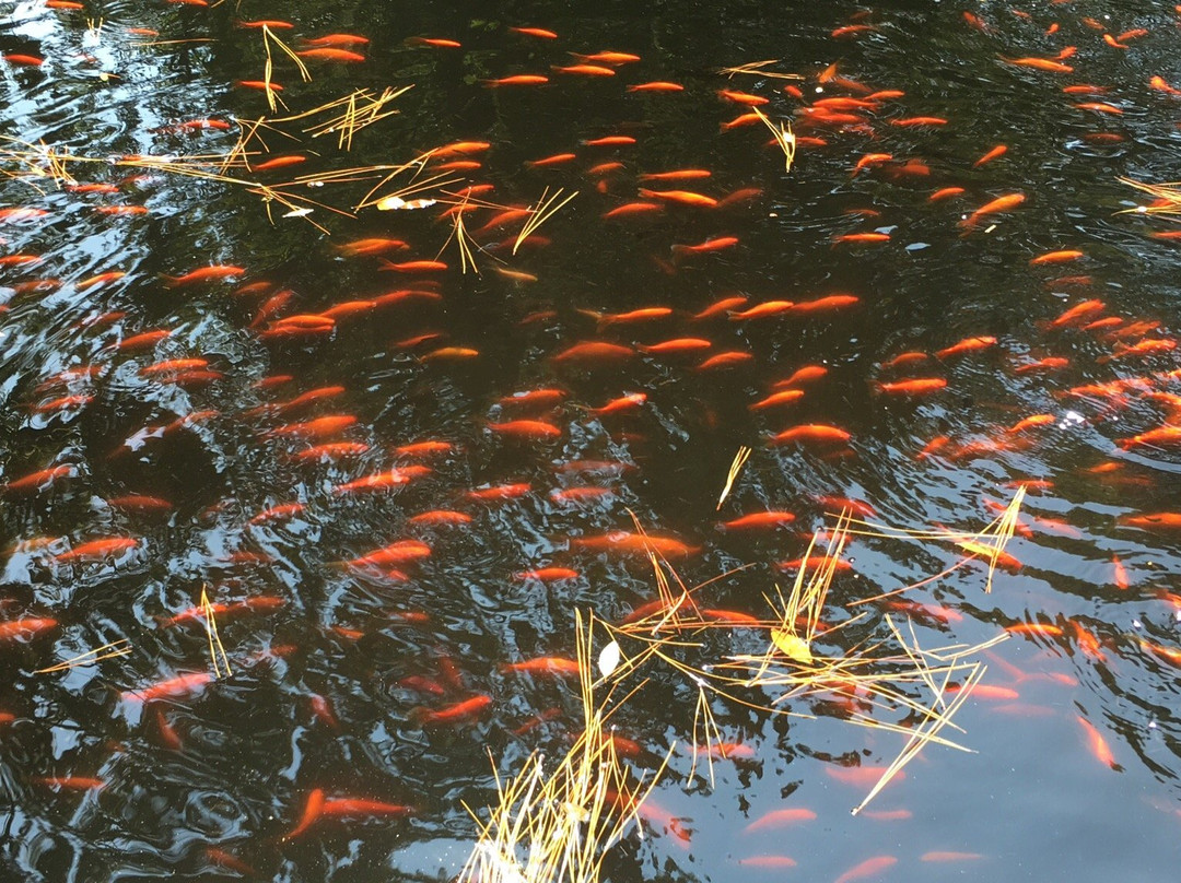 Walter Y. Elisha Park-米尔堡必去景点