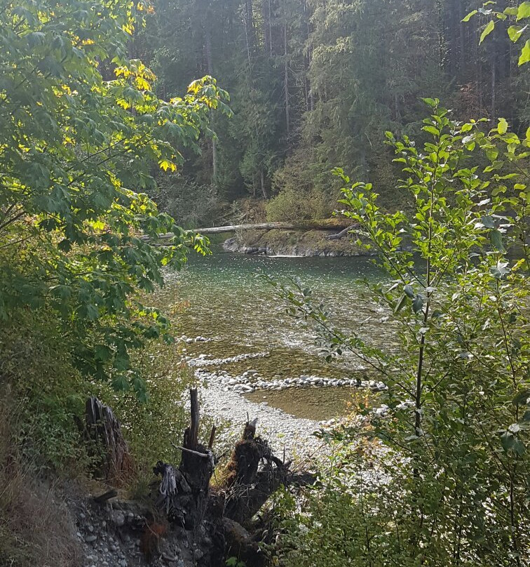 Cowichan River Provincial Park景点图片
