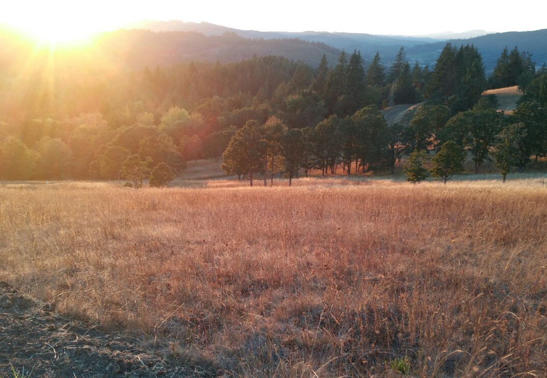 Fitton Green Natural Area-科瓦利斯必去景点