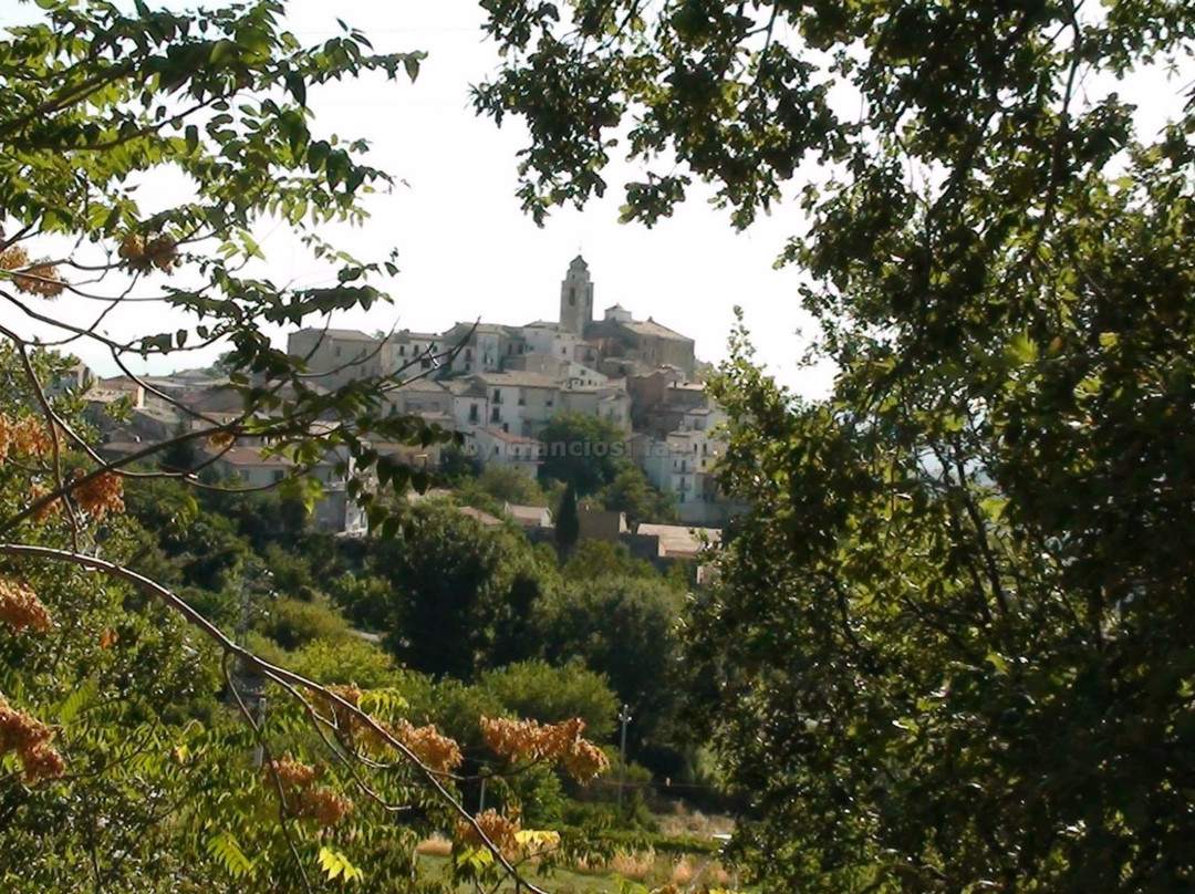 Chiesa di San Sabino Vescovo-Furci必去景点