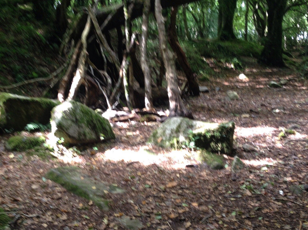 Barna Woods景点图片