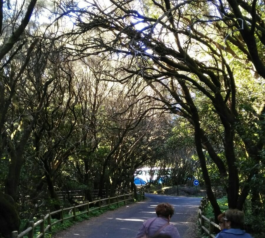 Cantour-Tacoronte必去景点