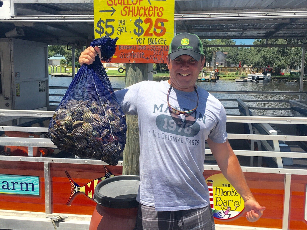 Hog Tide Fishing Charters-Homosassa必去景点