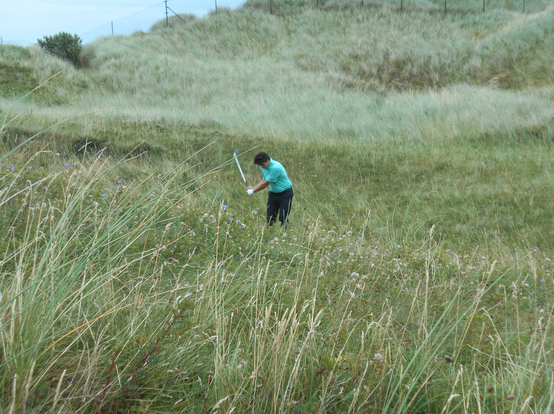 Premier Irish Golf Tours Ltd-特拉利必去景点