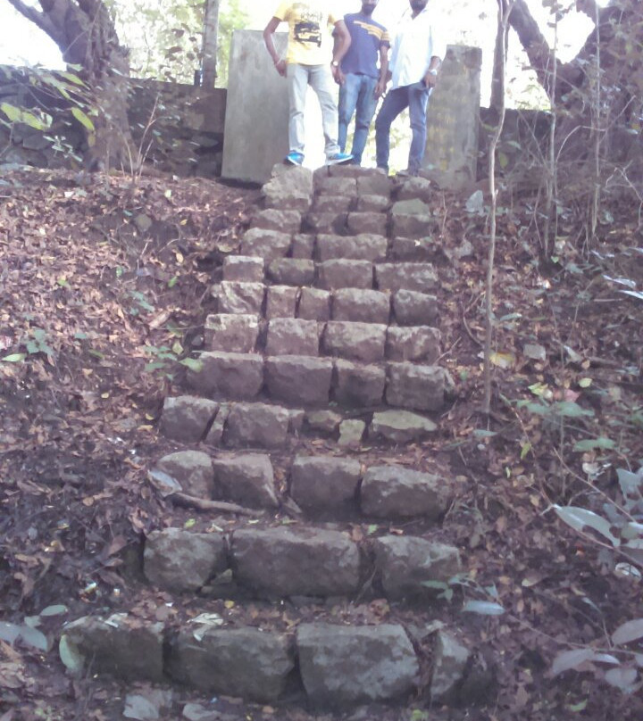 Peechi-Vazhani Wildlife Sanctuary-德里久尔必去景点