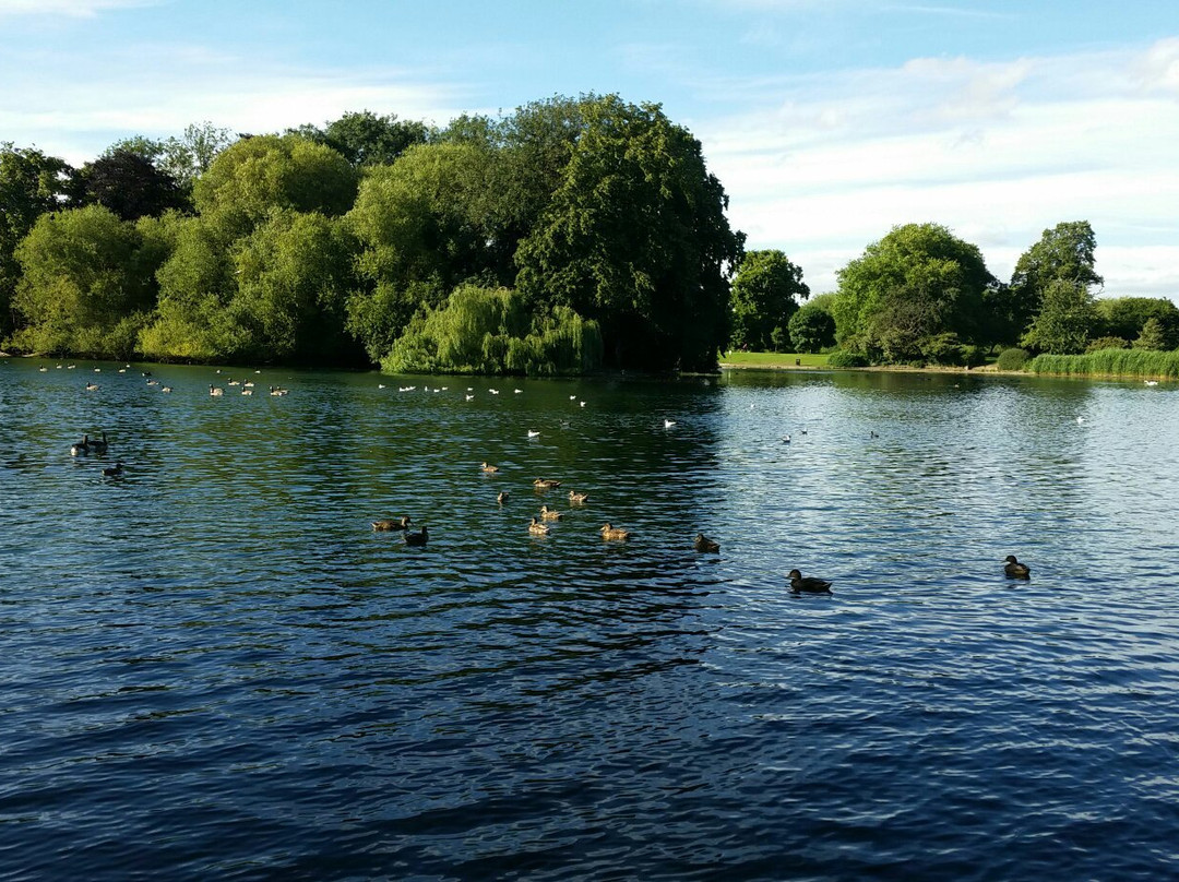 Alvaston Park景点图片