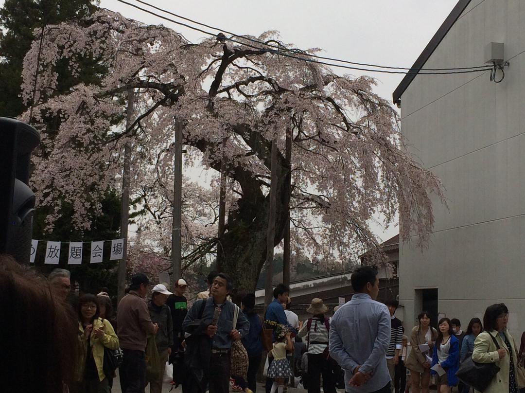 Niidahonke-郡山市必去景点