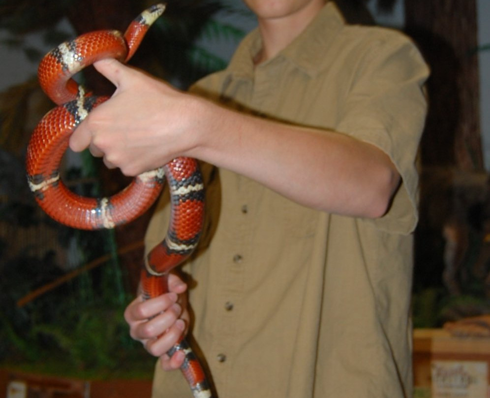 Hutchings Museum-李海必去景点