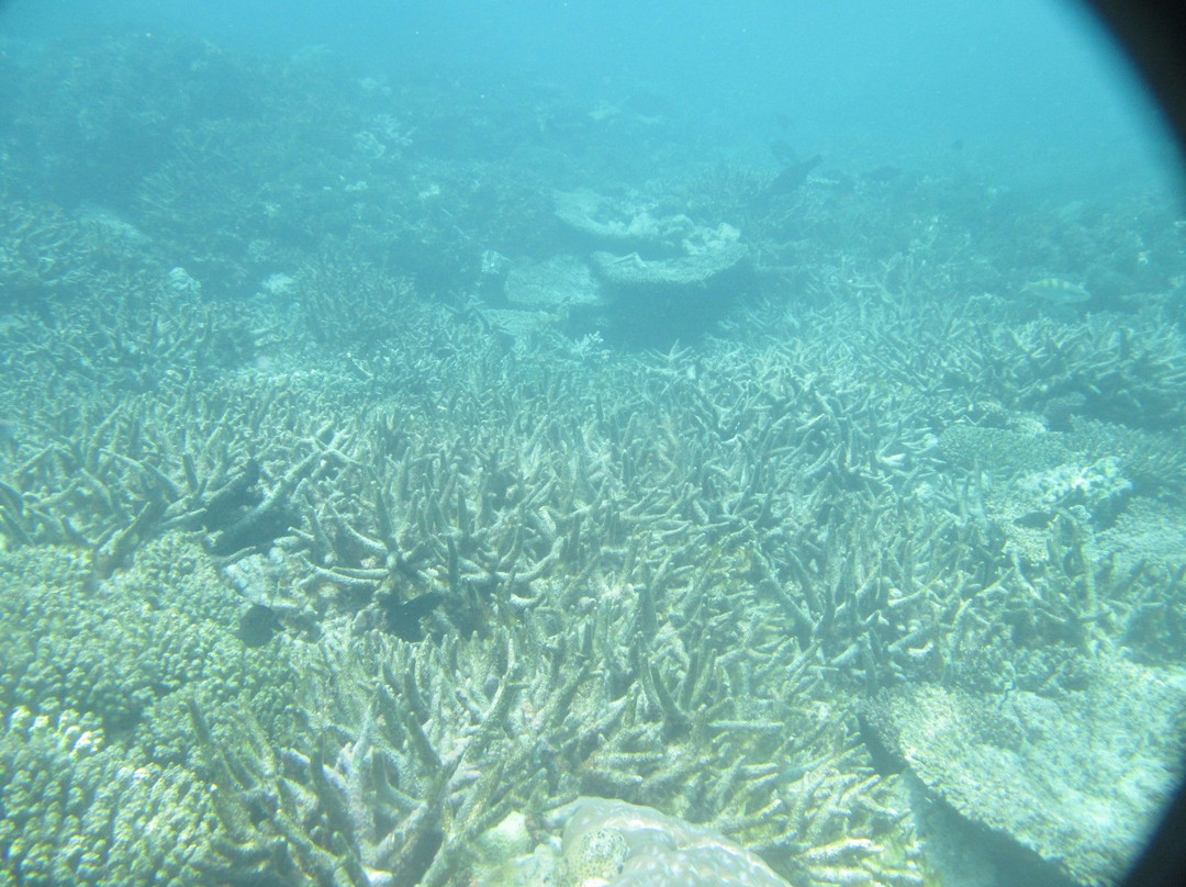 Kudahuvadhoo Inn主图