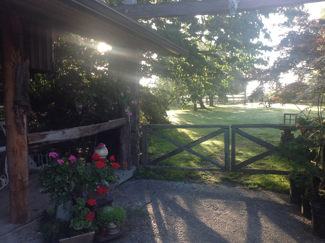 Mystic Mountain Farm B&B主图