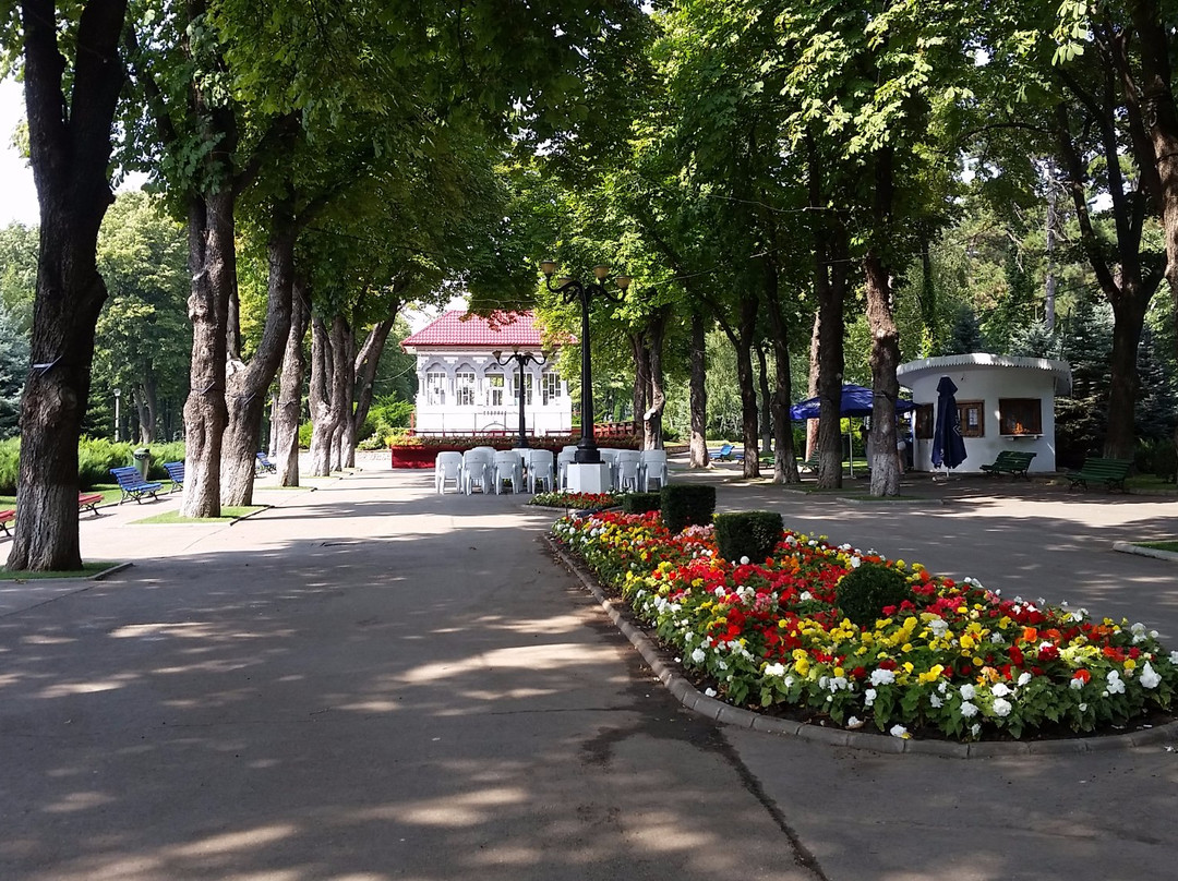 Parcul Copou景点图片
