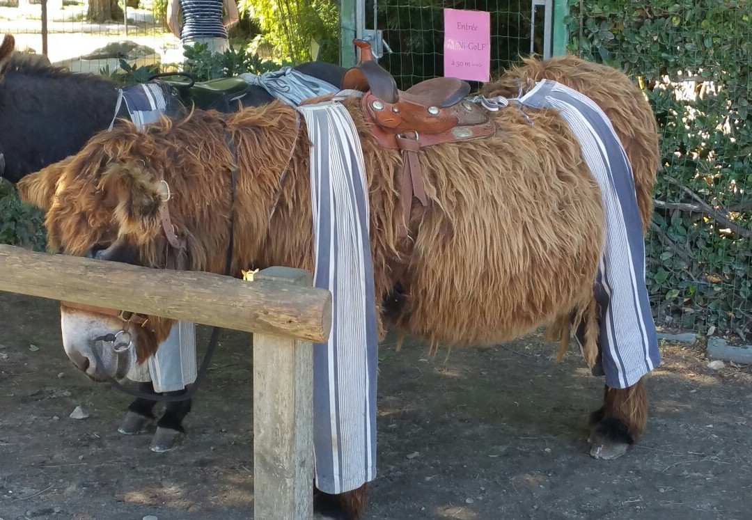 Anes en Culotte-Saint Martin de Re必去景点